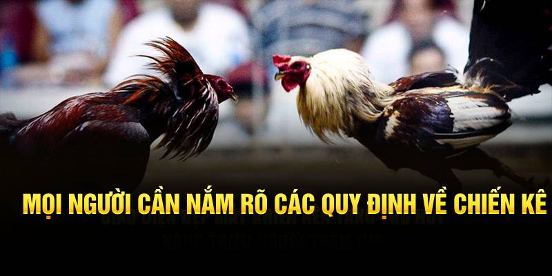 Mọi người cần nắm rõ các quy định về chiến kê